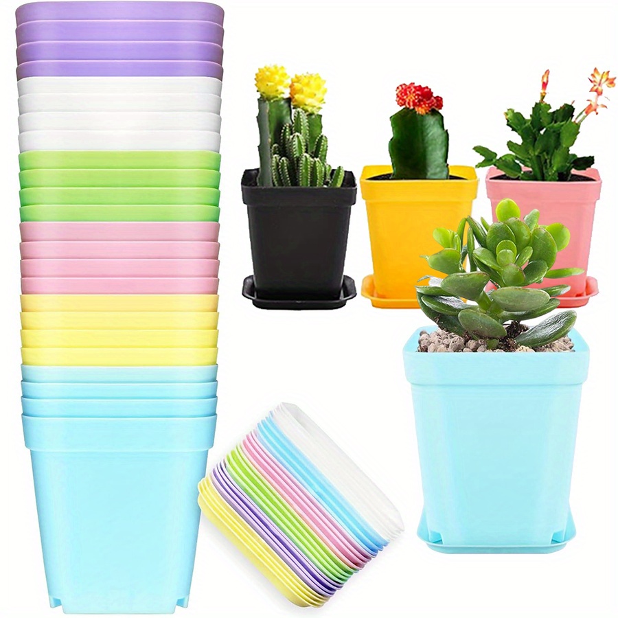 Aloe Vera Pot - 12pcs 7cm Plastic Square Pots with