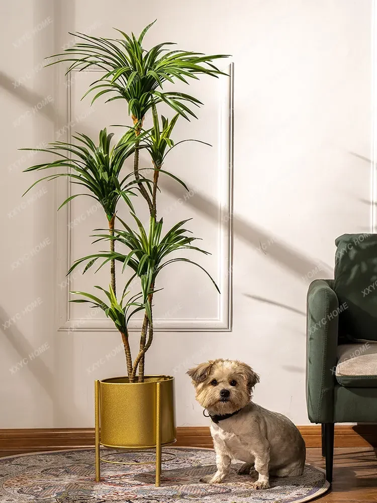 Simulation Colorful Ponytail I - Dracaena Marginata ulasan dan harga