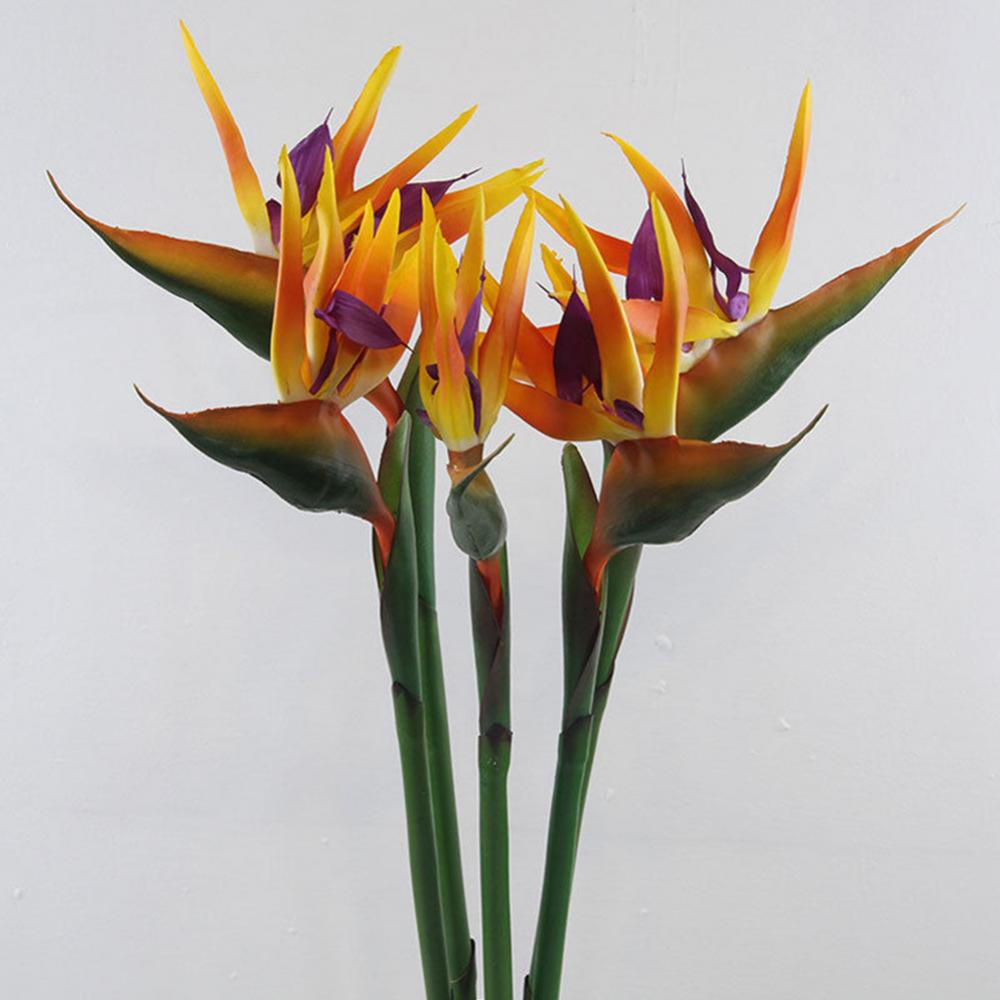 1pc 80cm Flower Bird Of Paradi - Bird Paradise Strelitzia ulasan dan harga