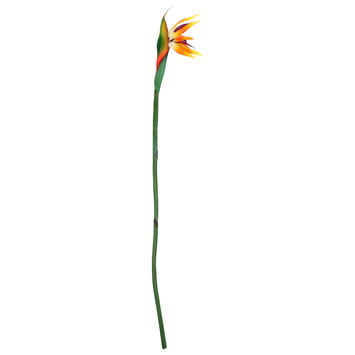Artificial Strelitzia Flower R - Bird Paradise Strelitzia ulasan dan harga