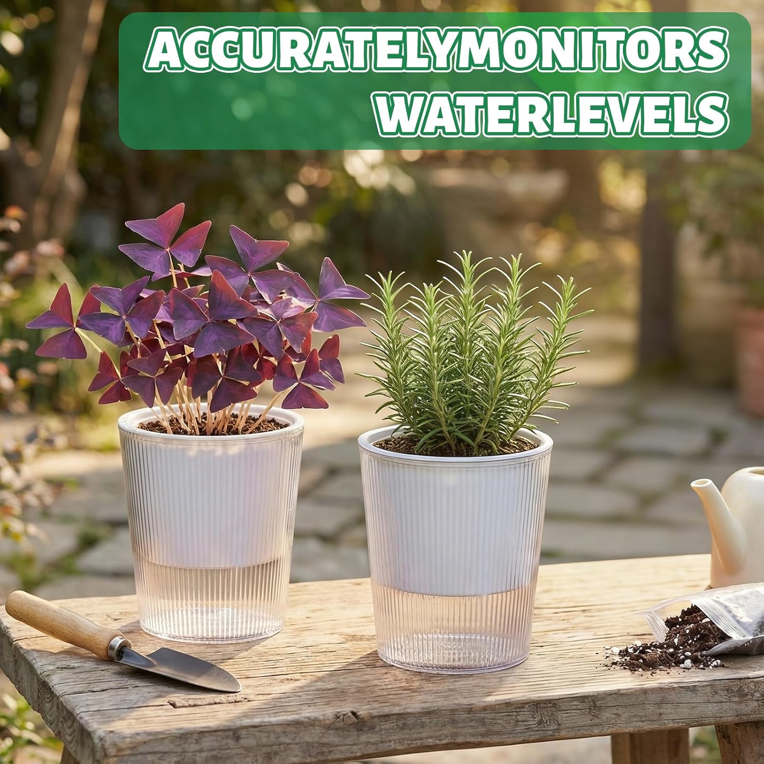 Clear Self Watering Planters P - Aloe Vera Pot ulasan dan harga