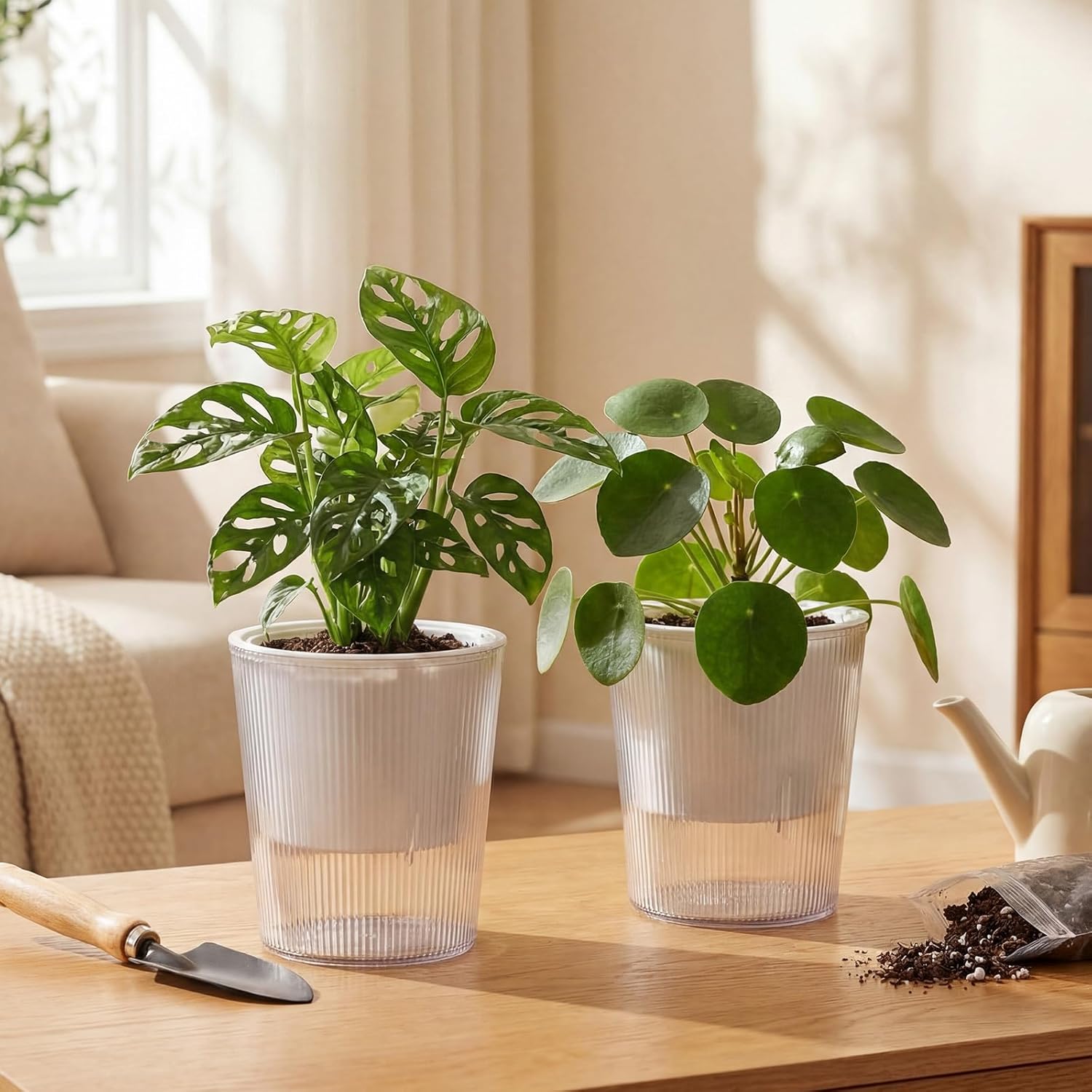 Clear Self Watering Planters P - Aloe Vera Pot ulasan dan harga