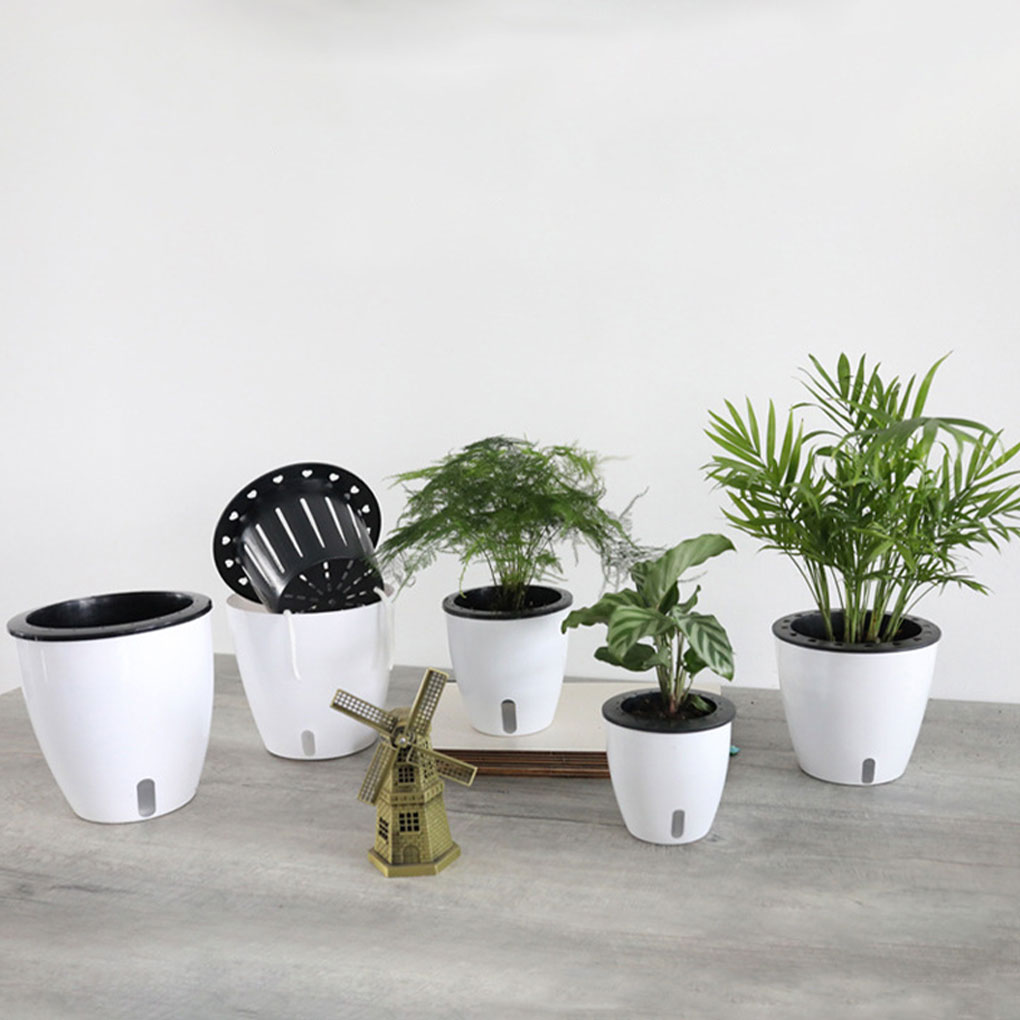 White Portable And Eco-friendl - Aloe Vera Pot ulasan dan harga