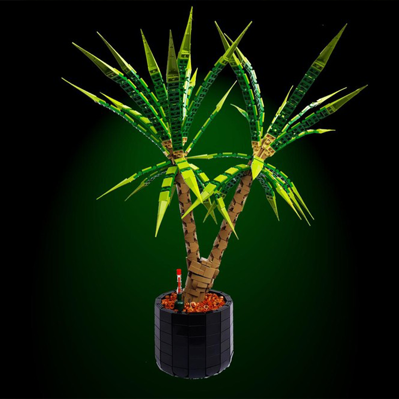 1961pcs MOC Dracaena Marginata - Dracaena Marginata ulasan dan harga