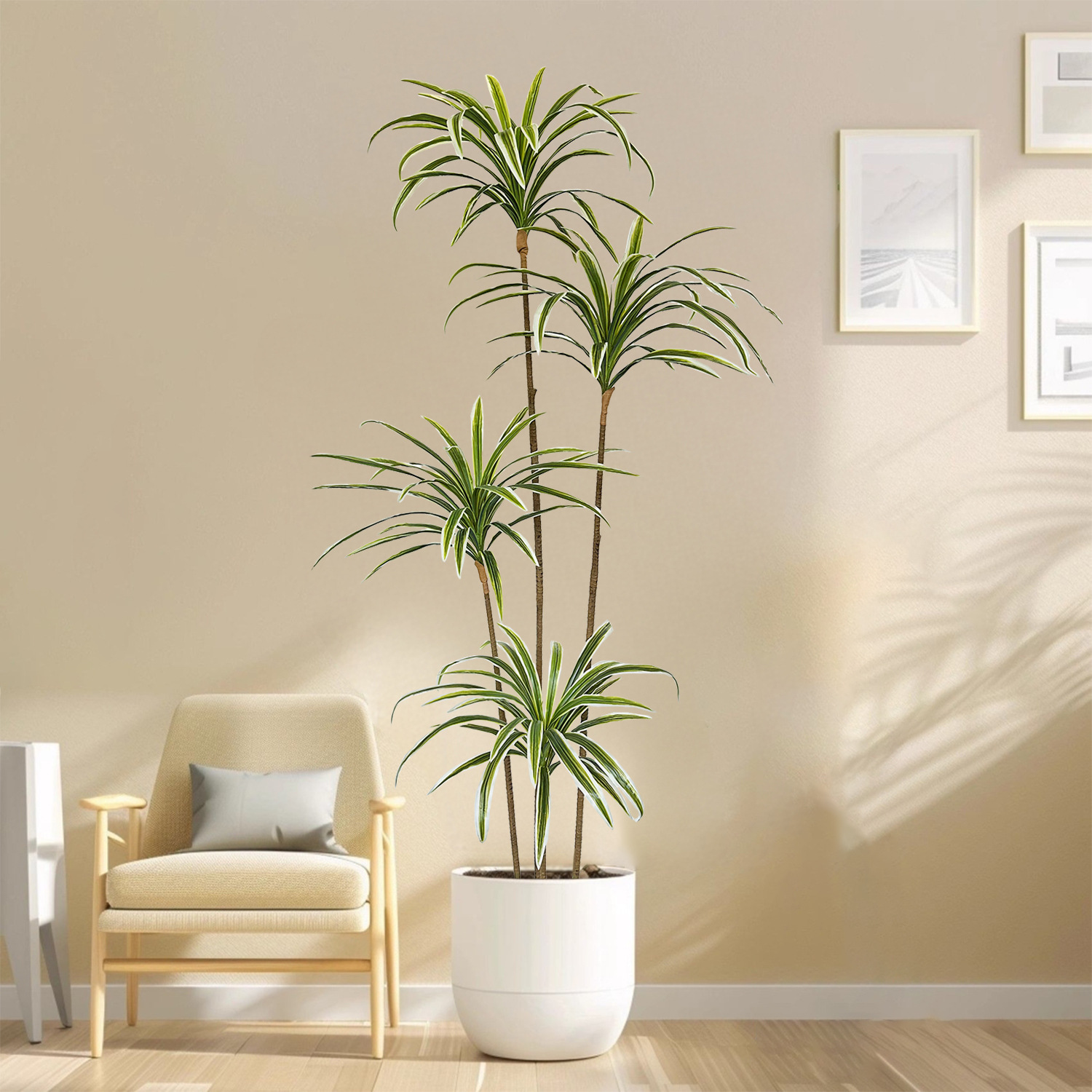 230cm Artificial Dracaena Marg - Dracaena Marginata ulasan dan harga