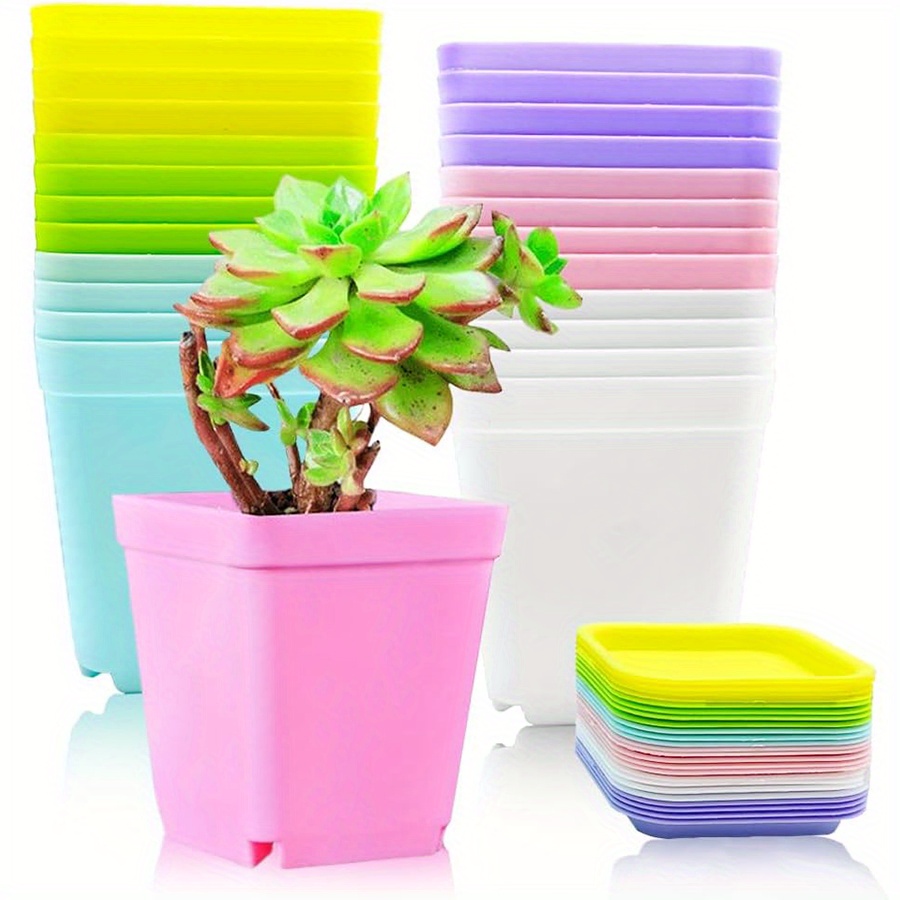 12pcs 7cm Plastic Square Pots  - Aloe Vera Pot ulasan dan harga