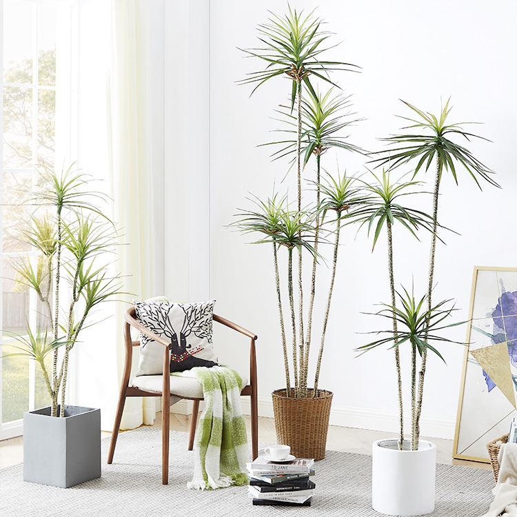 Artificial Plastic Potted ​Pla - Dracaena Marginata ulasan dan harga