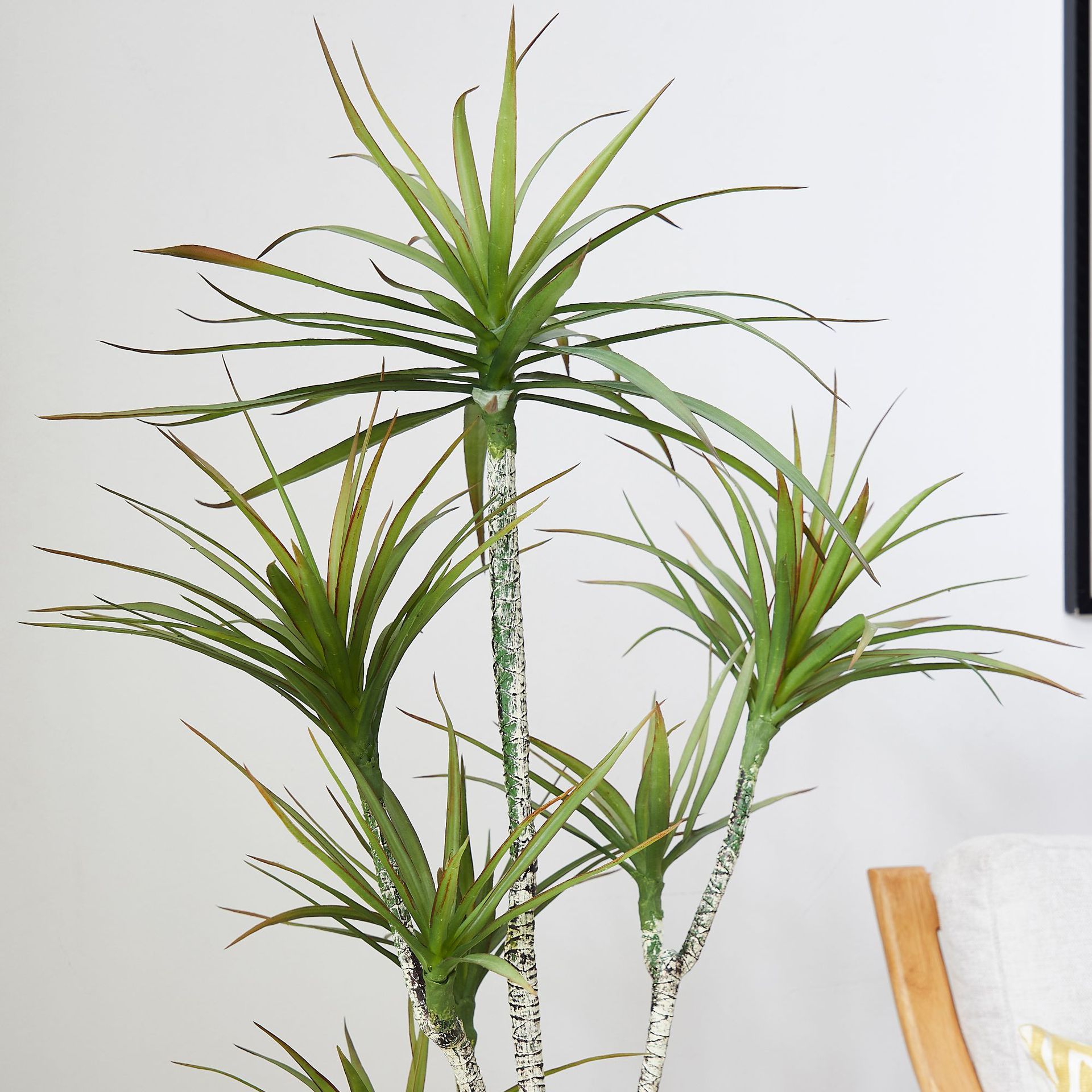 Artificial Plastic Potted ​Pla - Dracaena Marginata ulasan dan harga