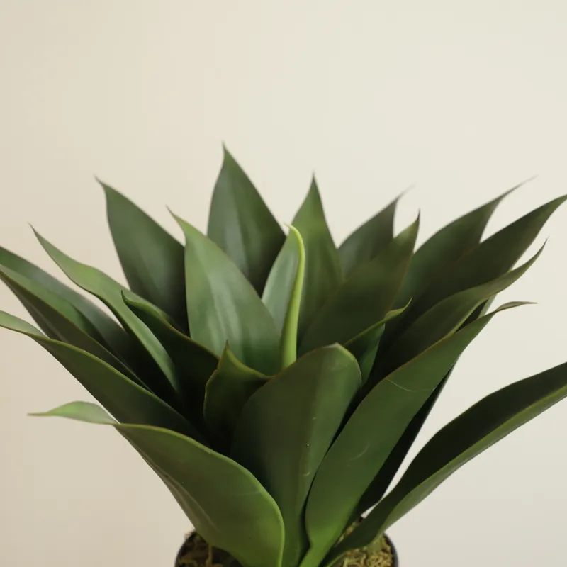 Artificial Potted Aloe Vera Pl - Aloe Vera Pot ulasan dan harga